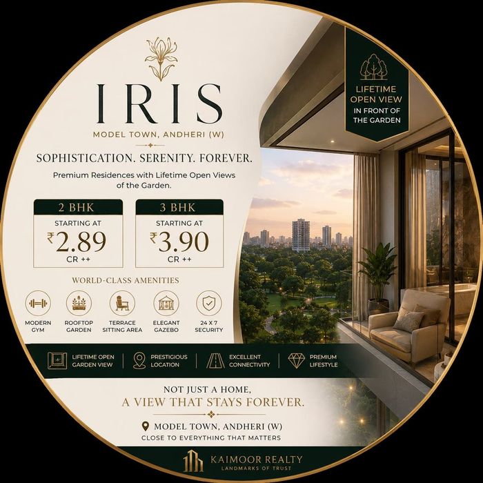 IRIS project update creative